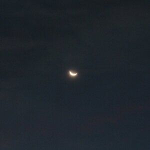 About Mini Lucky Stars Shop